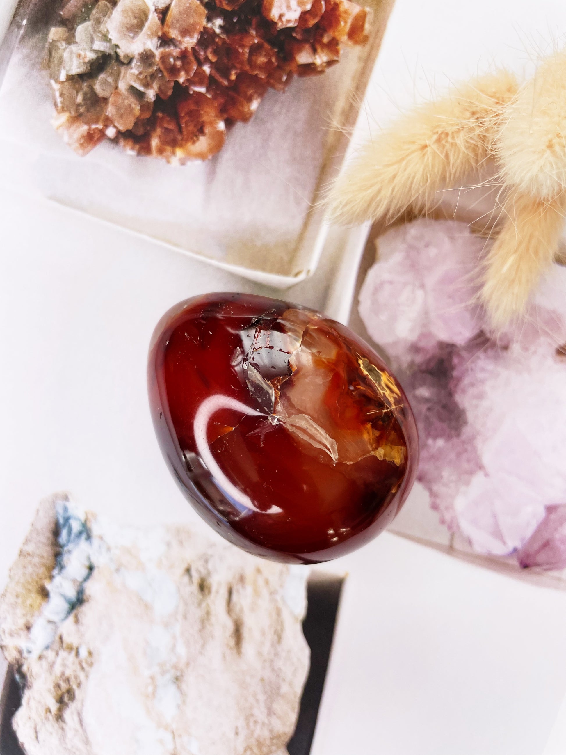 Red Carnelian | Egg