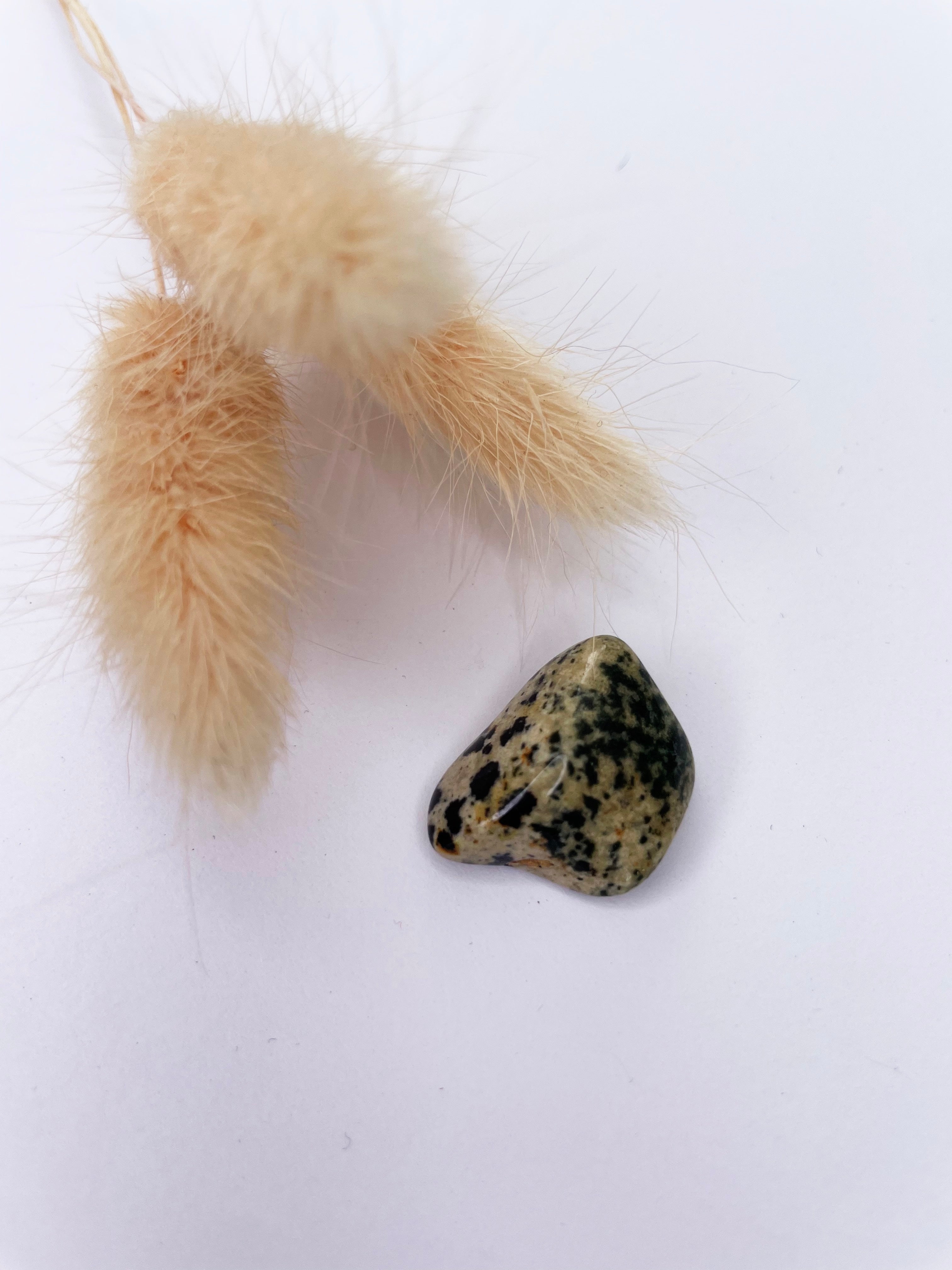 Dalmatian Jasper | Tumble