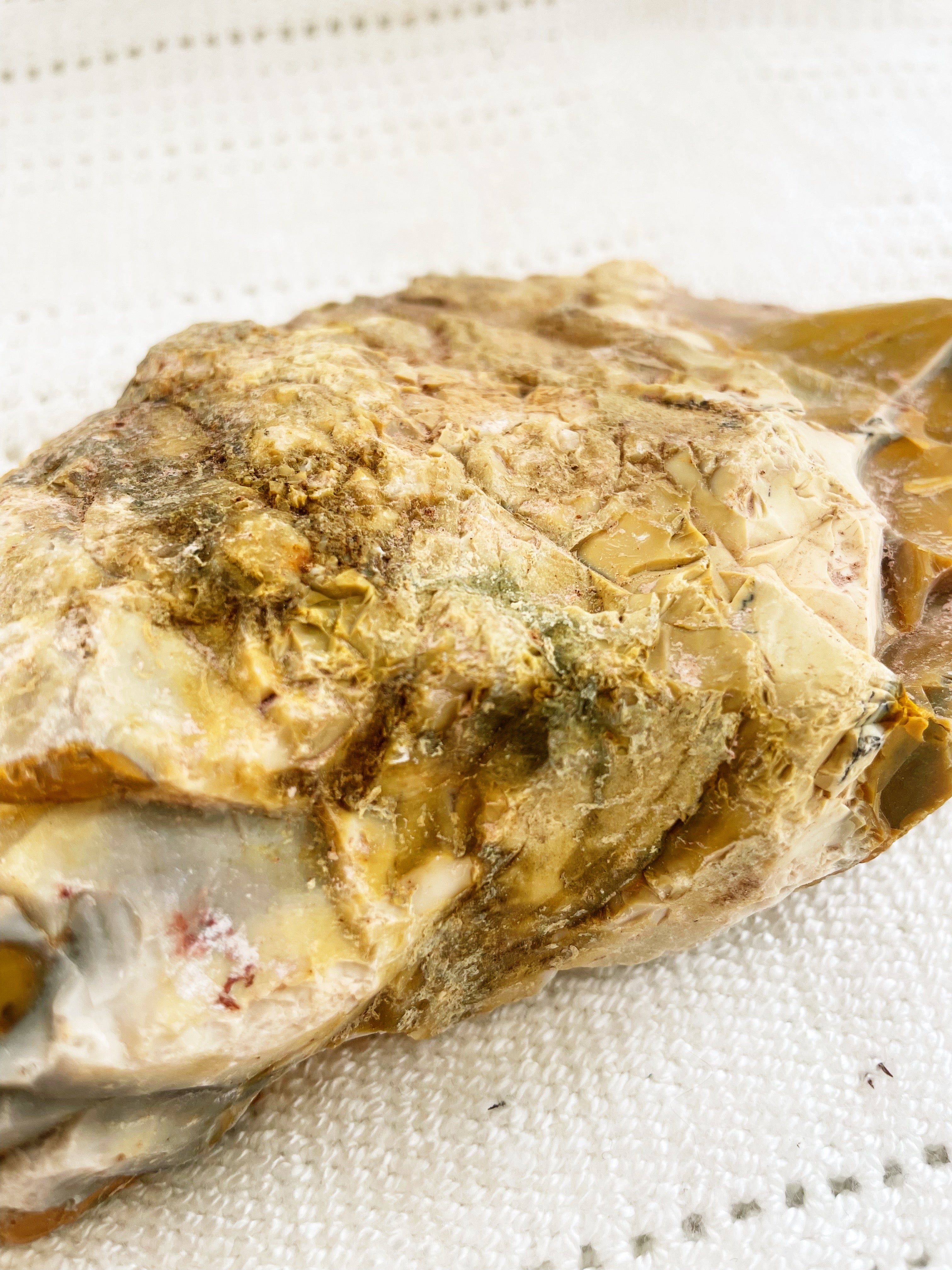 Mookaite | Rough (SECONDS)