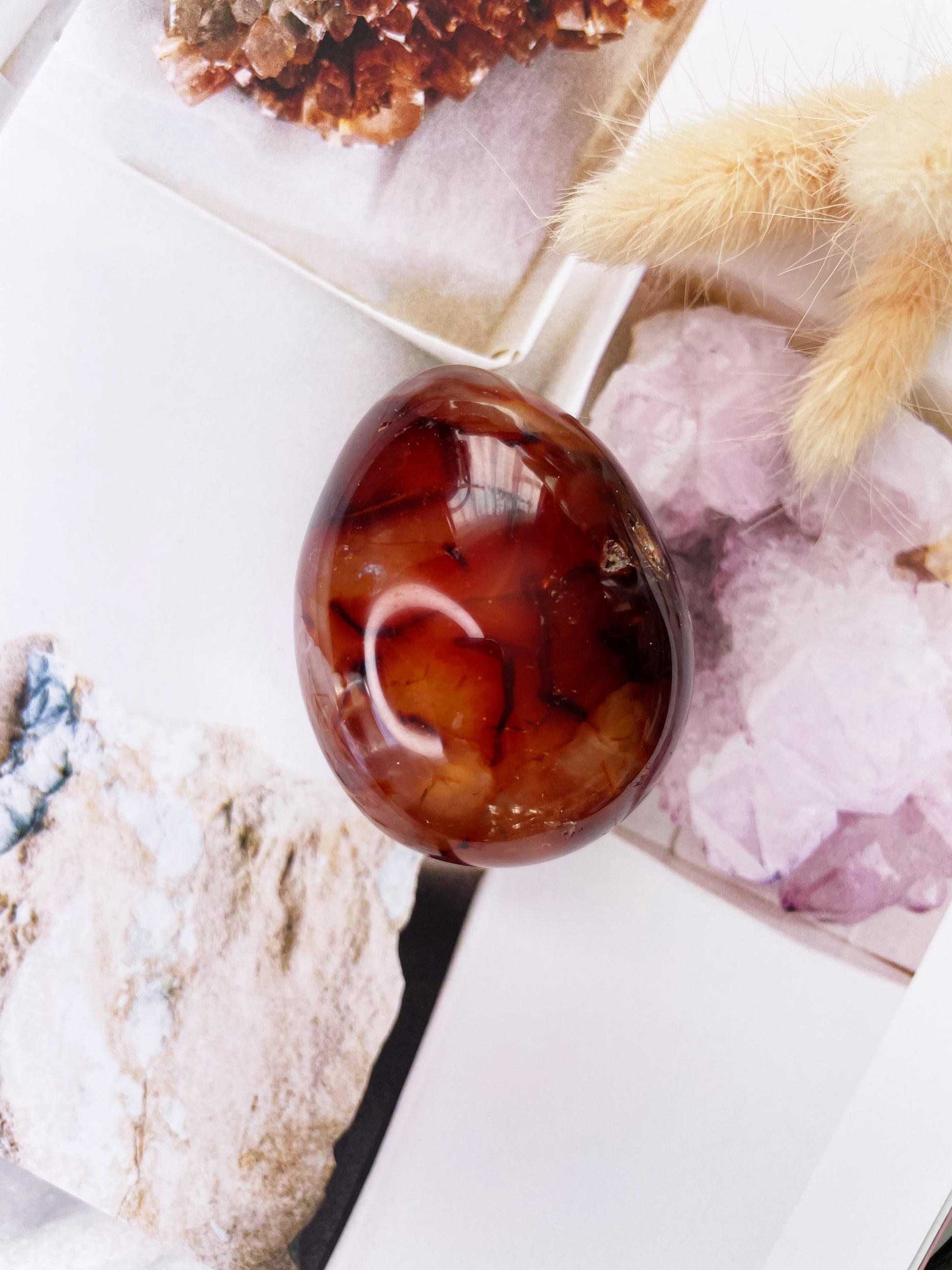 Red Carnelian | Egg