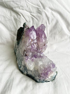 Amethyst | Cluster