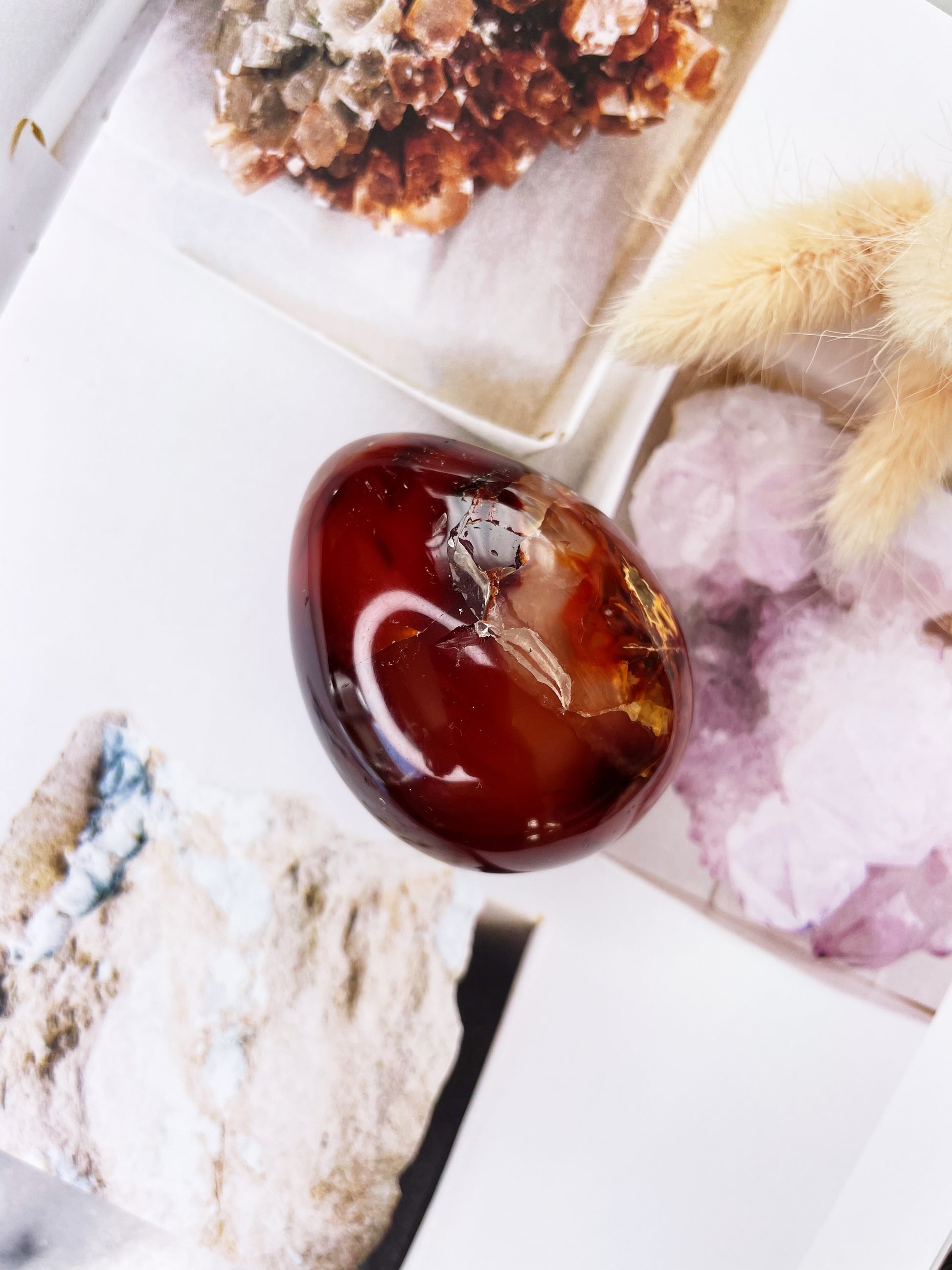 Red Carnelian | Egg