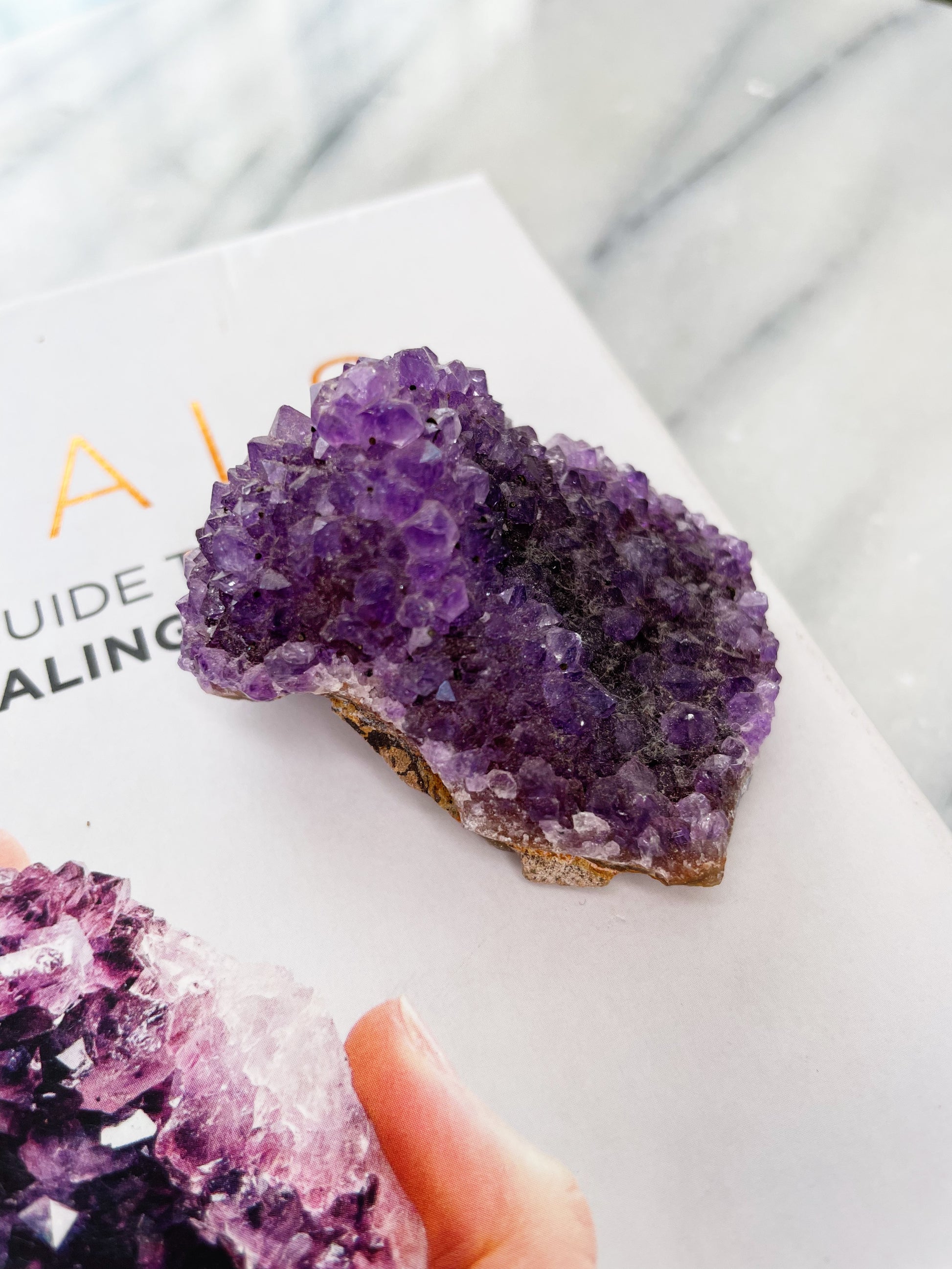 Amethyst | Druse