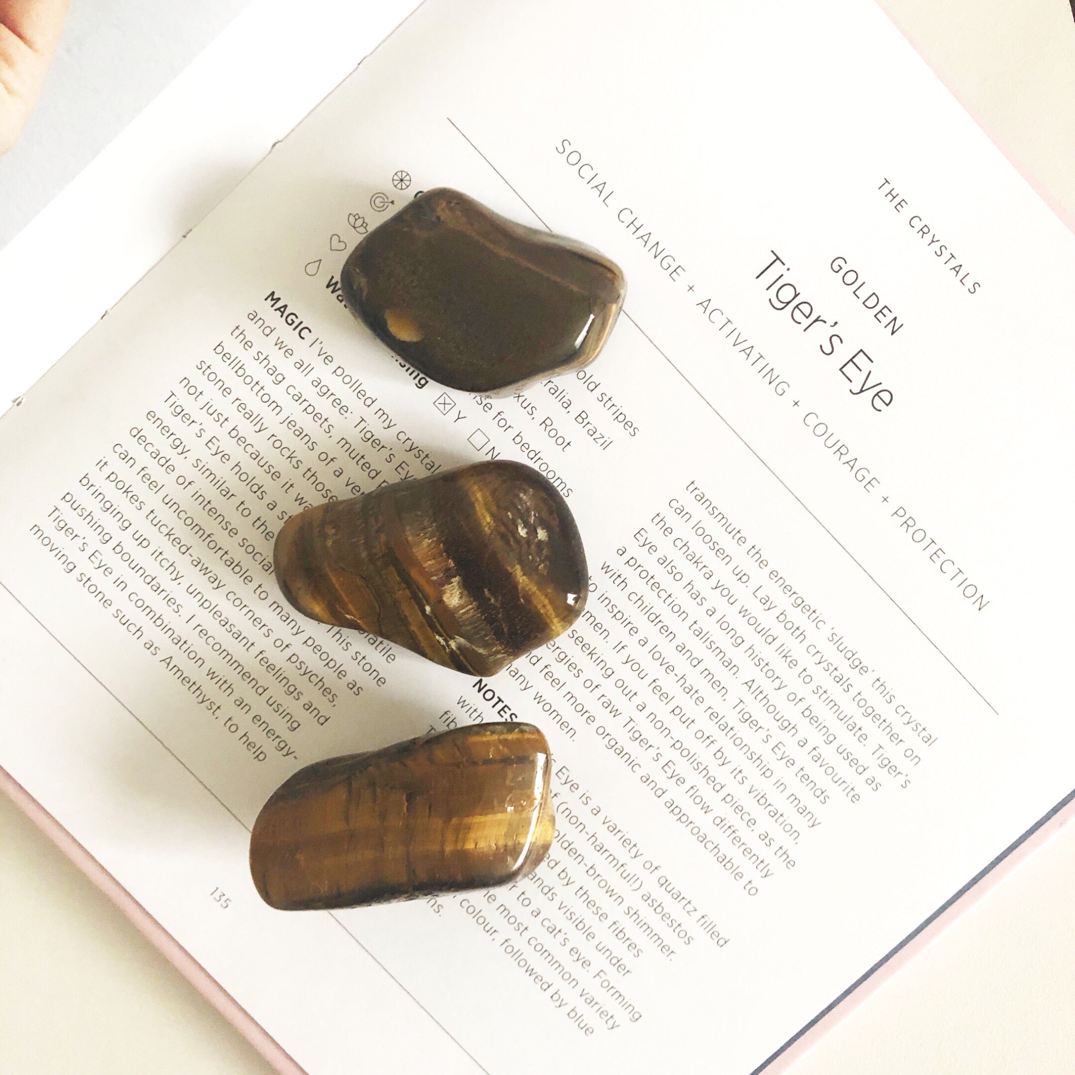 Tiger's Eye | Tumble