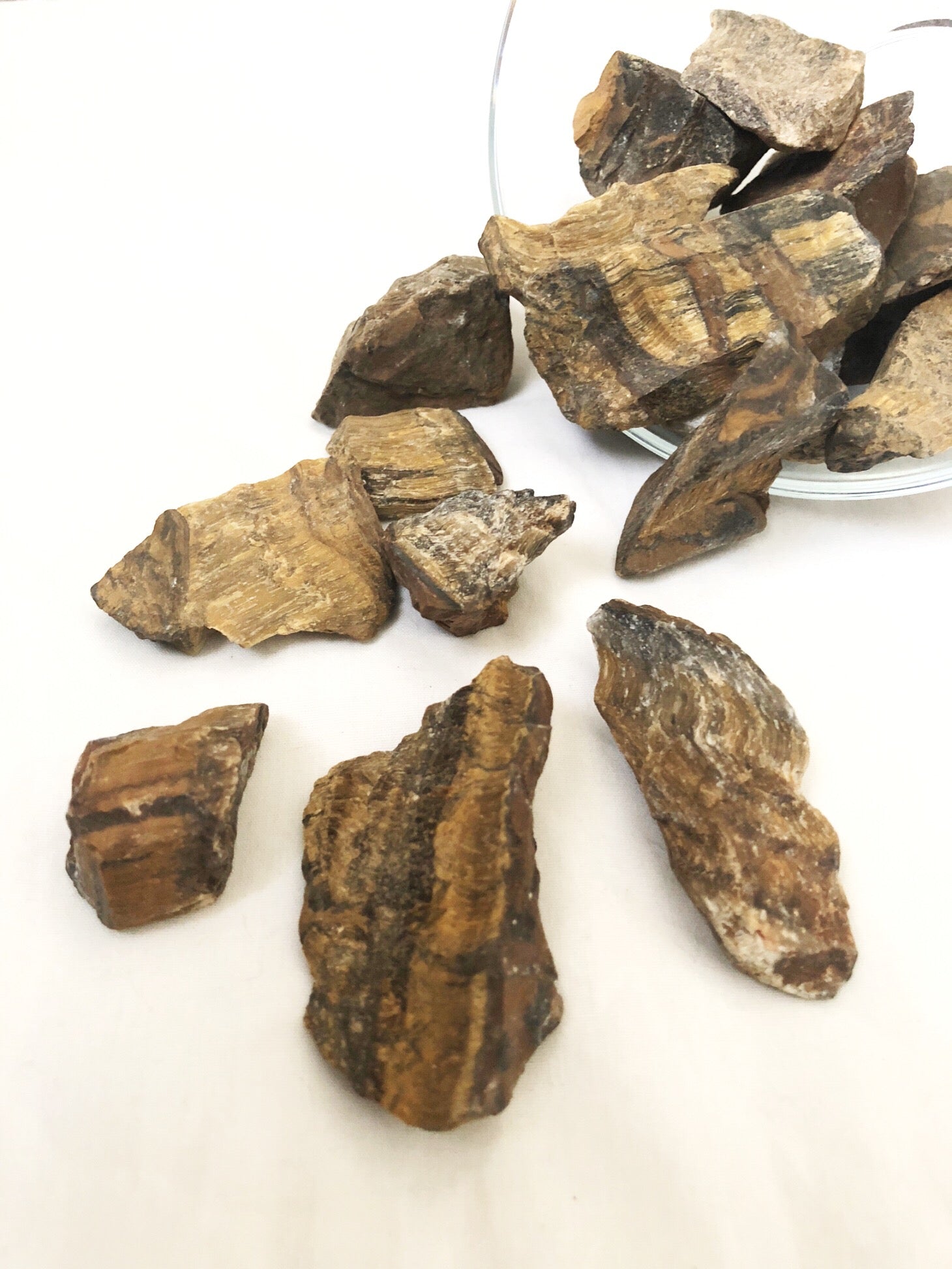 Tiger's Eye | Rough