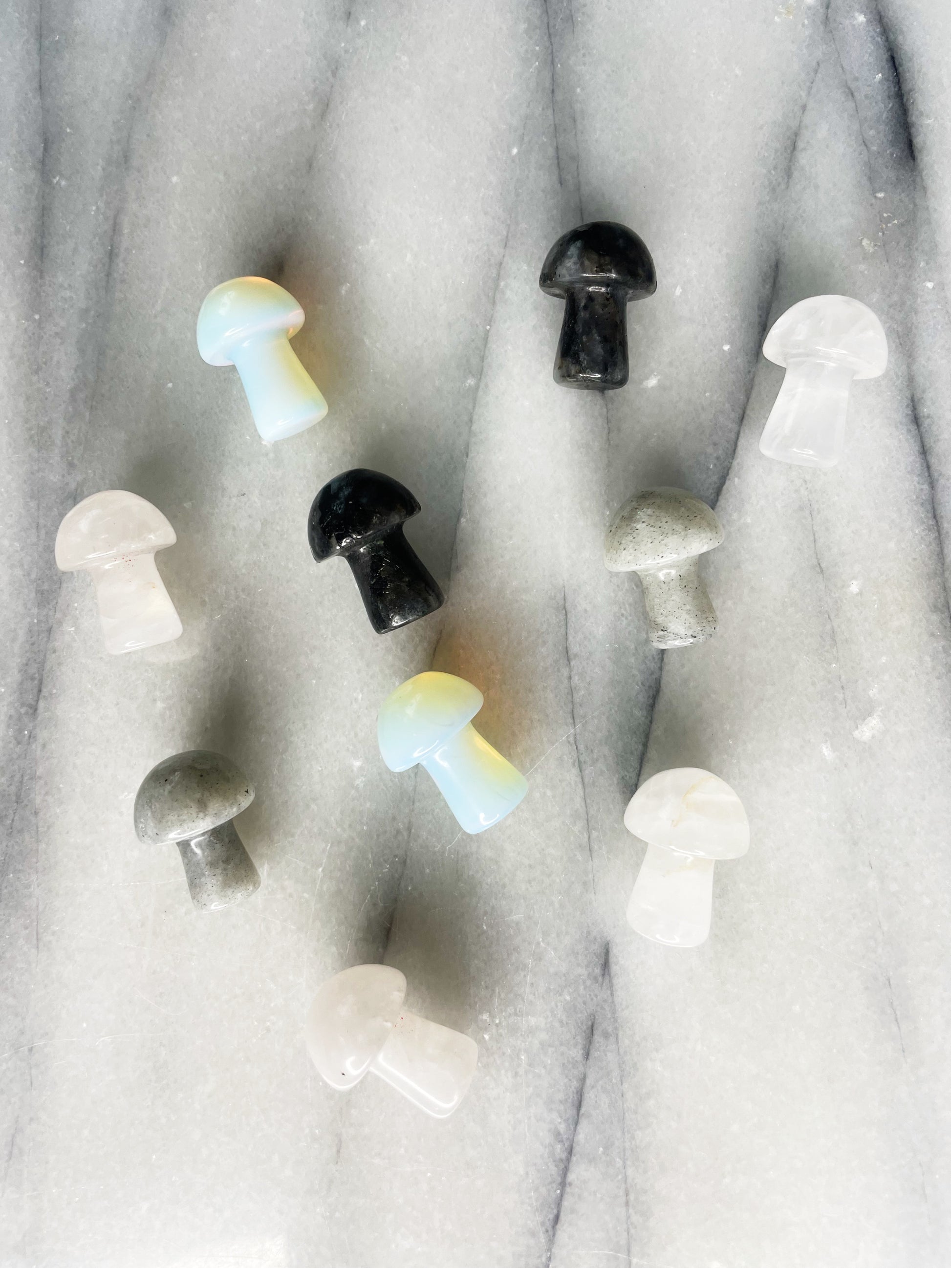 Mini Mushrooms