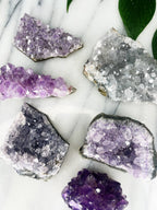 Amethyst | Druse