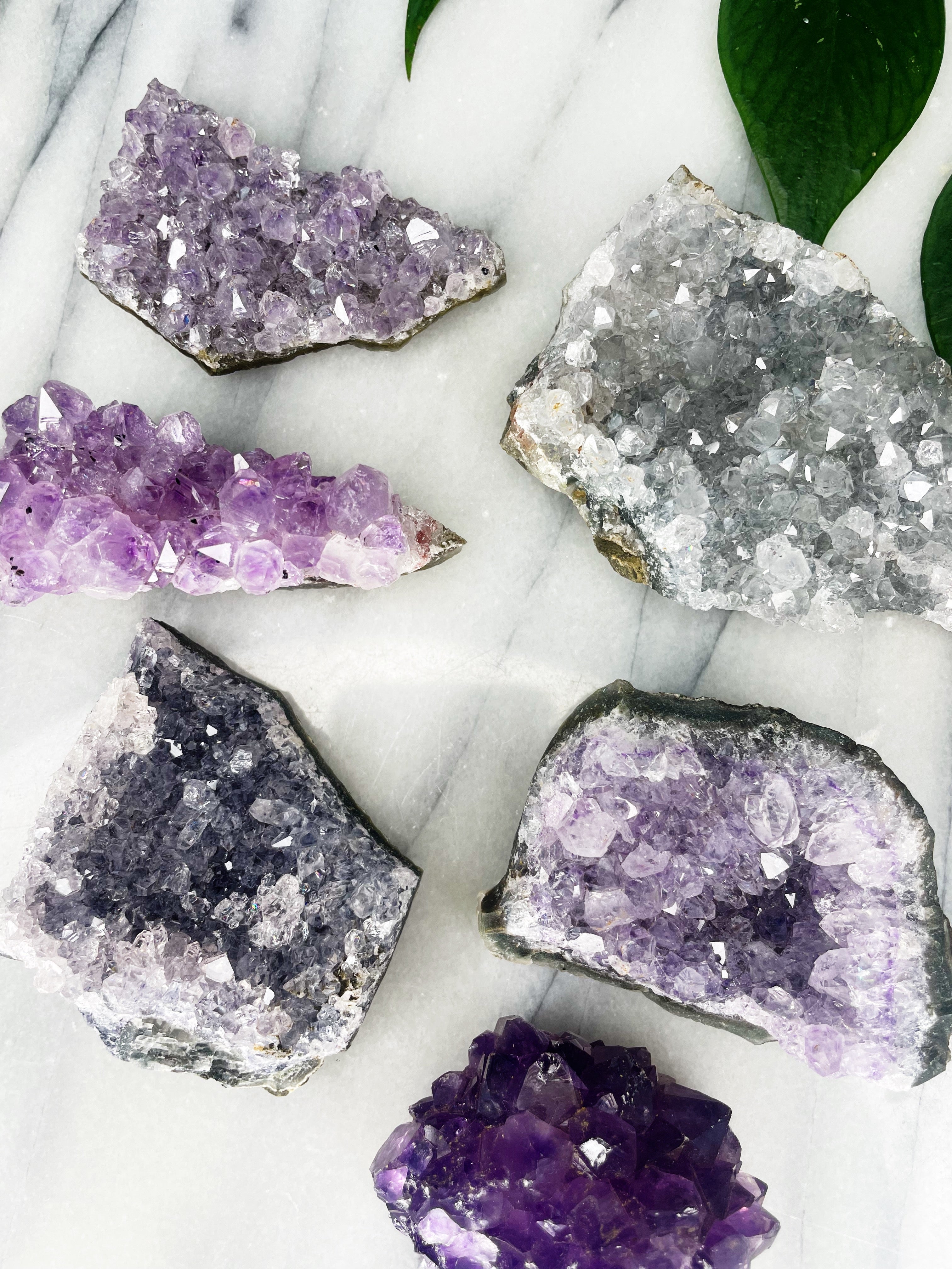 Amethyst | Druse