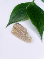 Blue Green Aragonite | Raw