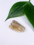 Blue Green Aragonite | Raw