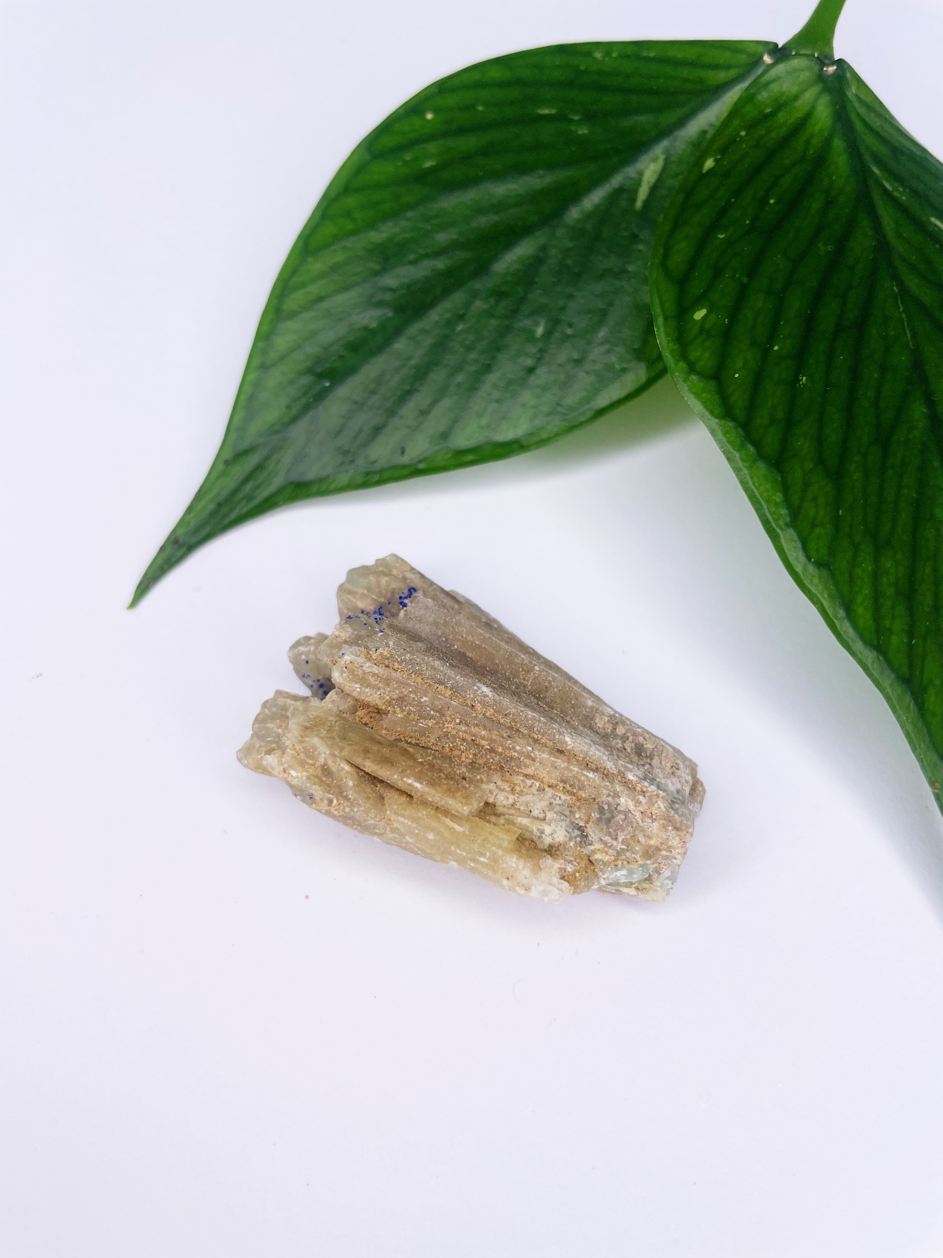 Blue Green Aragonite | Raw