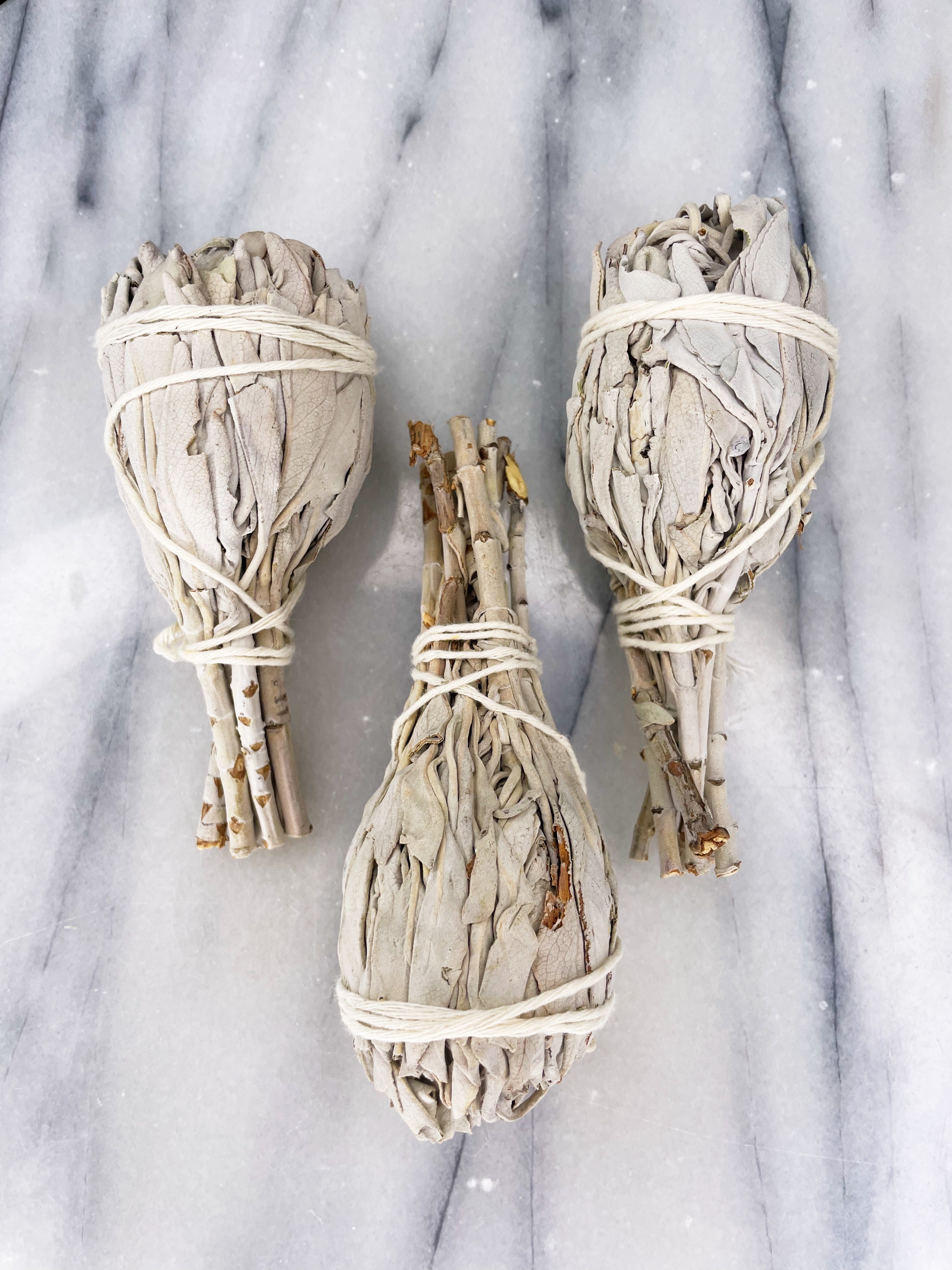 White Sage Smudge Stick