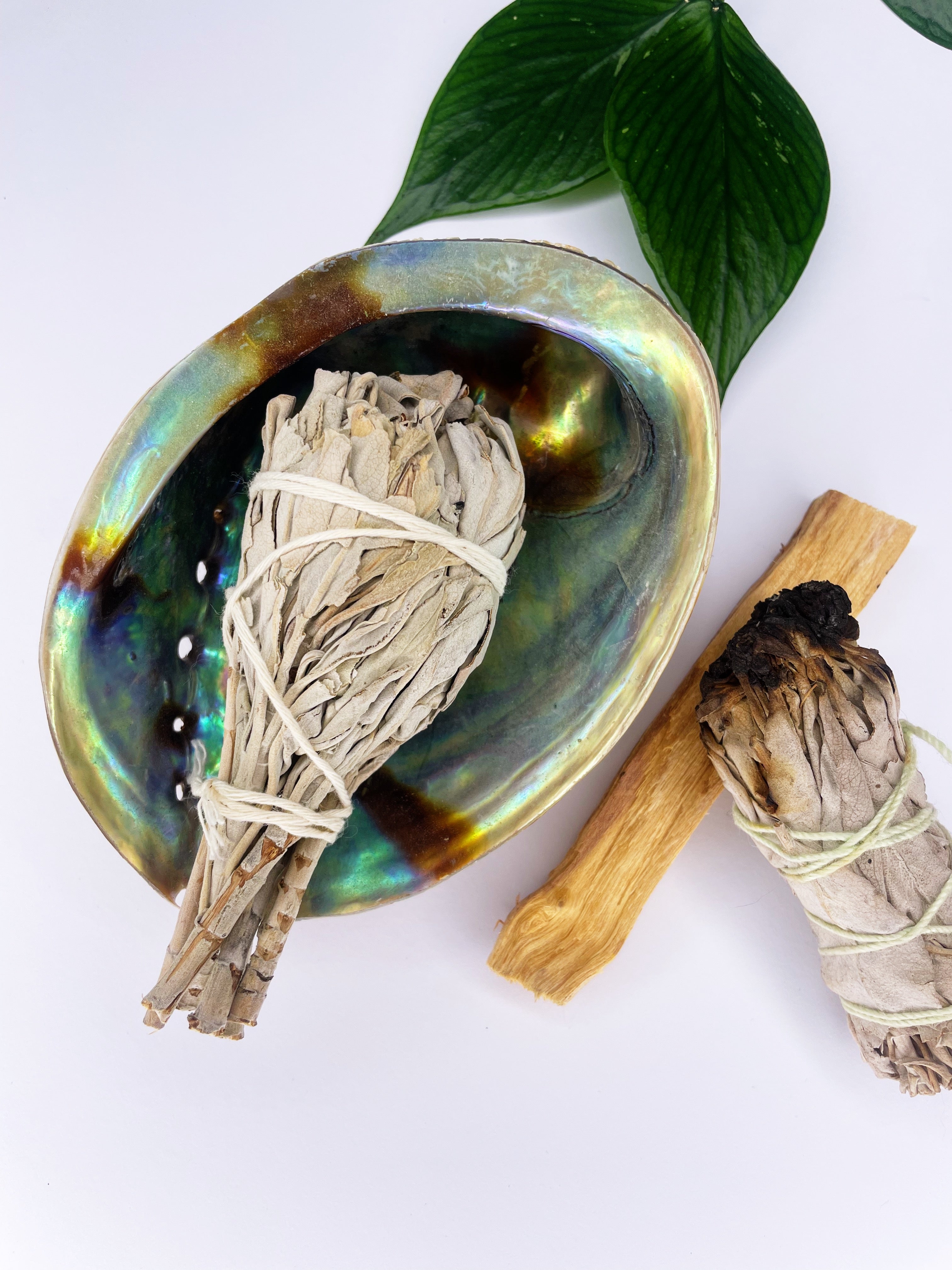 White Sage Smudge Stick