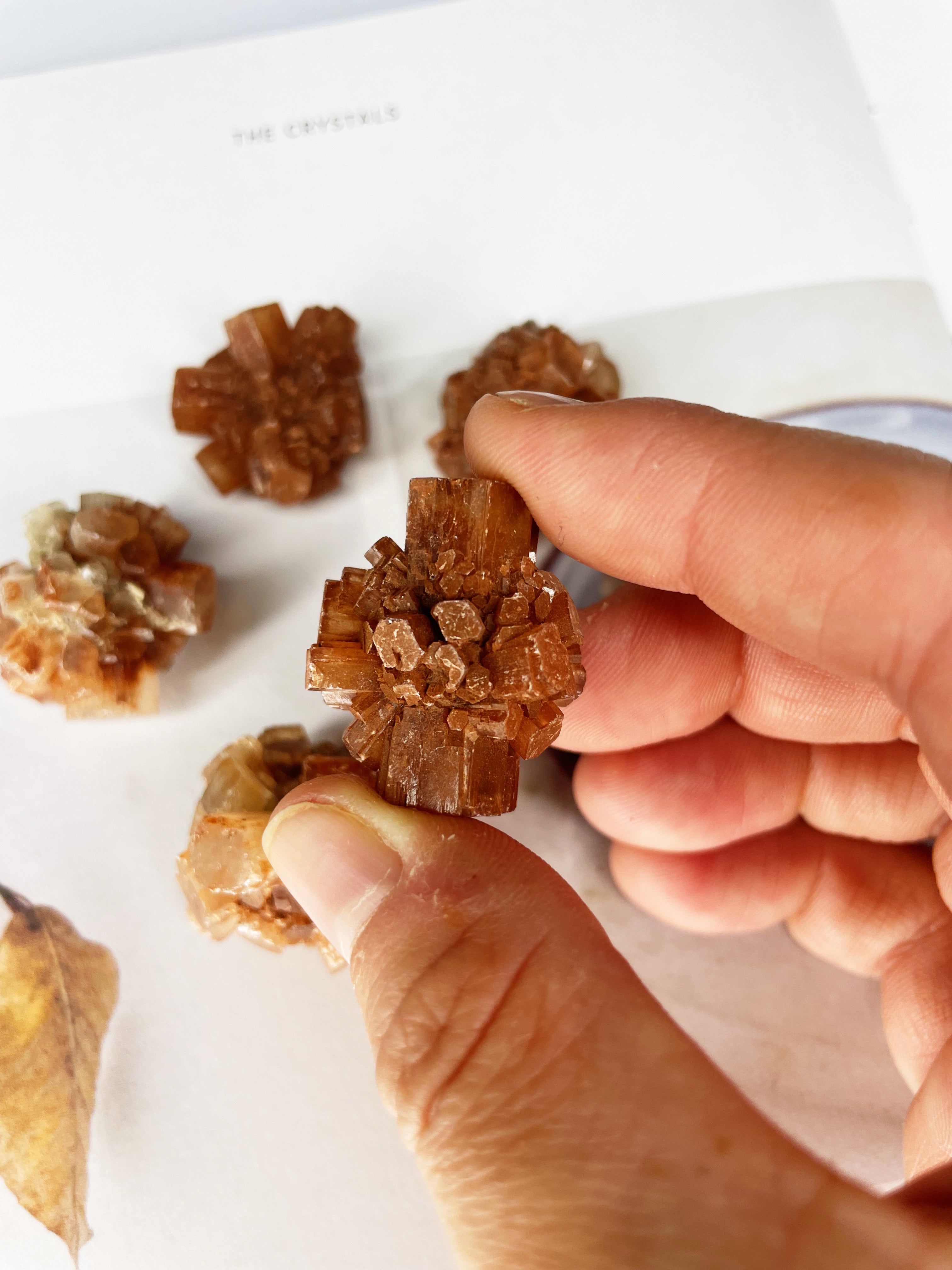 Aragonite | Clusters