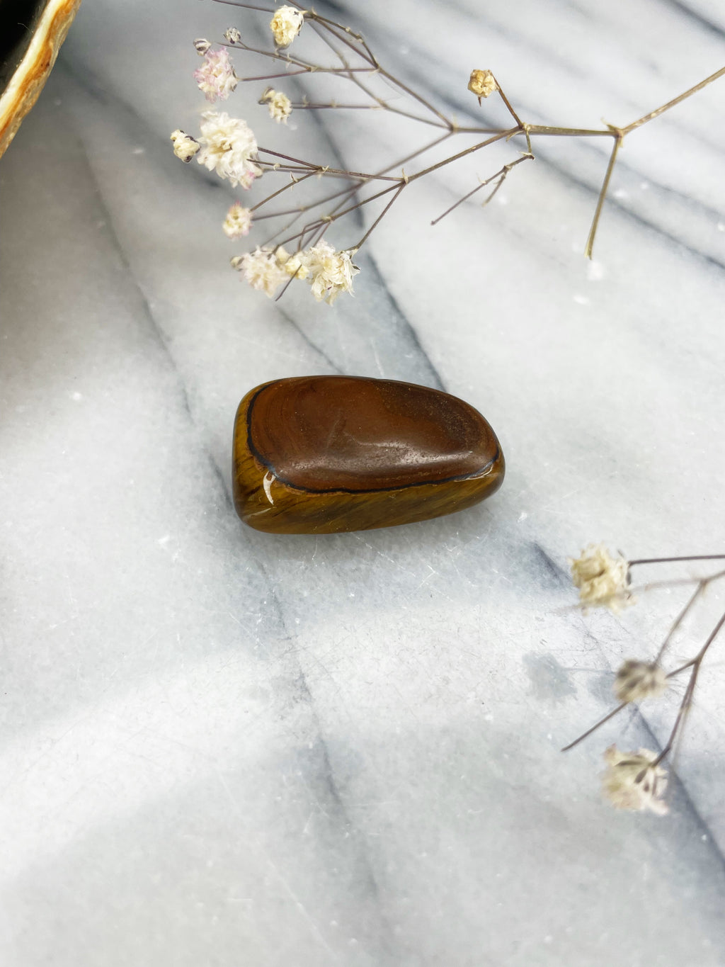 Tiger's Eye | Tumble