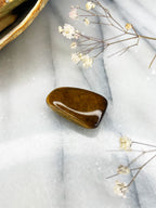 Tiger's Eye | Tumble